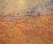 Vincent Van Gogh Wheat Field behind Saint-Paul Hospital with a Reaper (nn04) oil painting picture wholesale